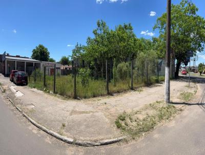 Terreno para Venda, em Santana do Livramento, bairro Centro