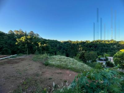 Terreno para Venda, em Frederico Westphalen, bairro Jardim Primavera