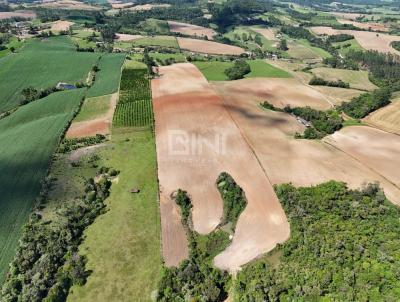 Terreno Rural para Venda, em Pouso Redondo, bairro Pouso da Caixa