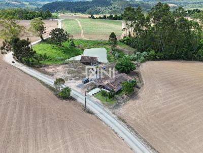 Stio para Venda, em Agronmica, bairro Morro do Carvo, 3 dormitrios, 1 banheiro, 1 vaga