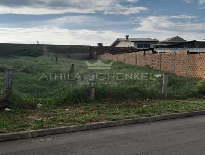 Terreno para Venda, em Porto Alegre, bairro Mrio Quintana