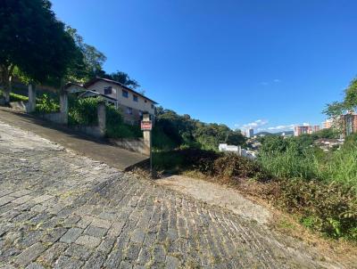 Terreno para Venda, em Blumenau, bairro Escola Agricola