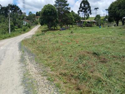 Terreno para Venda, em Rio Negrinho, bairro Distrito (Vila de Volta Grande)