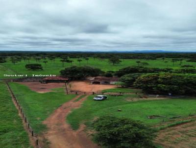 Fazenda para Venda, em Santa Tereza de Gois, bairro Zona Rural, 3 dormitrios, 2 banheiros, 1 sute