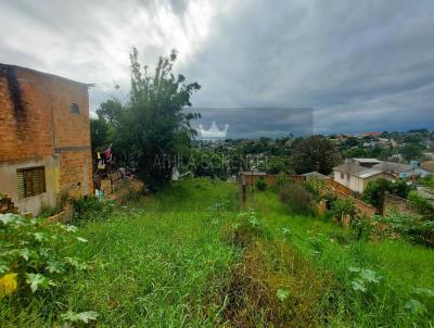 Terreno para Venda, em Alvorada, bairro Aparecida