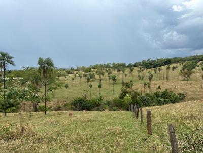 Chcara para Venda, em Bela Vista de Gois, bairro Zona Rural