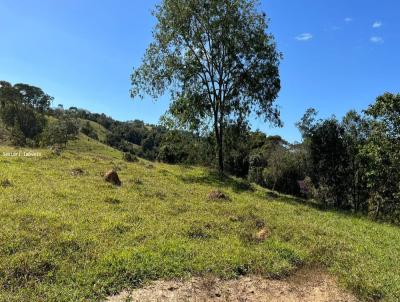 Fazenda para Venda, em Cocalzinho de Gois, bairro Zona Rural