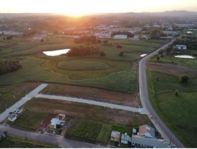 Terreno para Venda, em Venncio Aires, bairro Bairro Universitrio