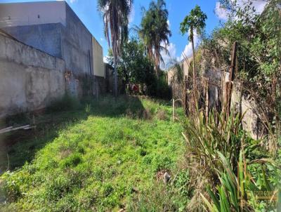 Terreno para Venda, em Jata, bairro Santo Antonio