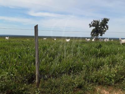 Fazenda para Venda, em Chapada Gacha, bairro Fazenda para venda Chapada Gacha MG