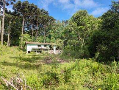 Chcara para Venda, em Mandirituba, bairro Colnia Retiro