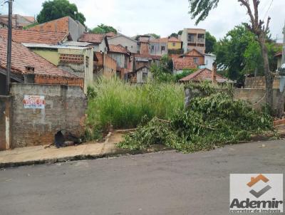 Terreno para Venda, em Santo Antnio da Platina, bairro Vila so Jos