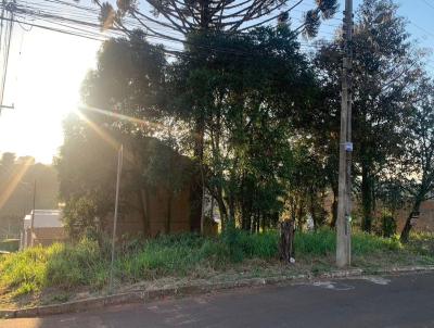 Terreno para Venda, em Ponta Grossa, bairro Estrela