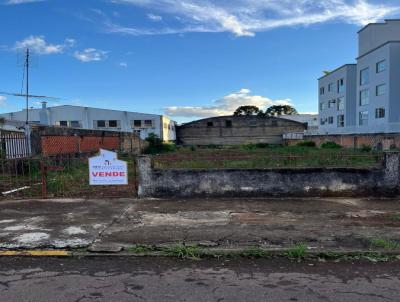 imagem-miniatura