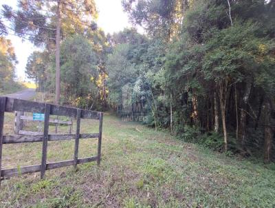 rea Rural para Venda, em Guarapuava, bairro 30km da BR 277, Guarapuava Guairaca