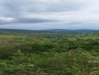 Fazenda para Venda, em Mogi Mirim, bairro Centro