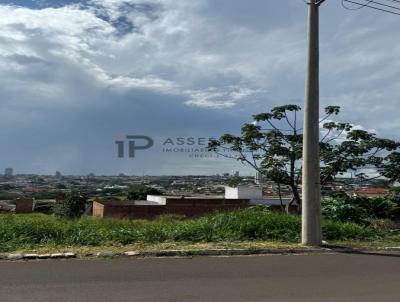 Terreno para Venda, em Jata, bairro Setor Geda