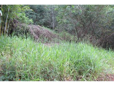 Terreno Rural para Venda, em Extrema, bairro forjos