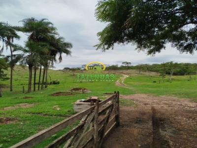 Fazenda para Venda, em Itumbiara, bairro Zona Rural