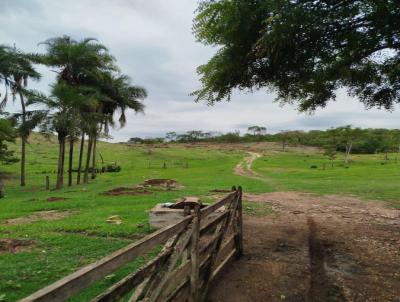 Fazenda para Venda, em Itumbiara, bairro Zona rural