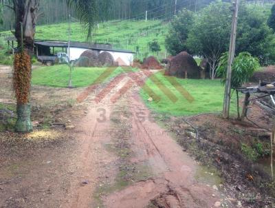 Stio para Venda, em Monte Alegre do Sul, bairro Vila Alice