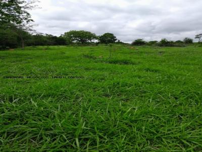 Fazenda para Venda, em Araguari, bairro Zona rural