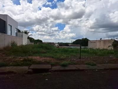 imagem-miniatura