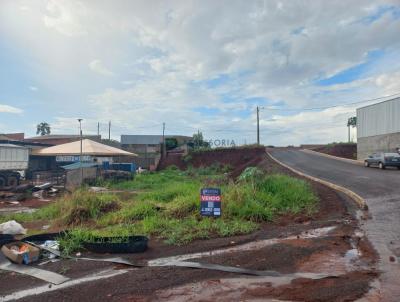 Terreno para Venda, em Jata, bairro Vila Sofia