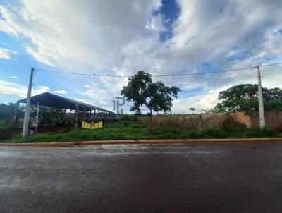 Terreno para Venda, em Jata, bairro Vila Sofia