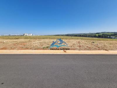 Terreno para Venda, em Indaiatuba, bairro Residencial Monte Verde