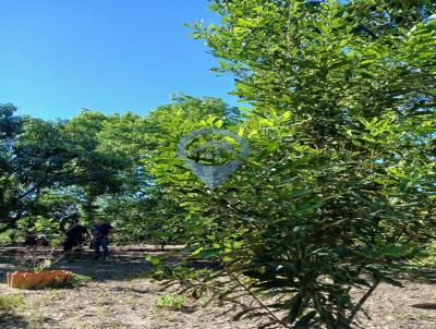 Terreno para Venda, em Salto de Pirapora, bairro Quintas de Pirapora I