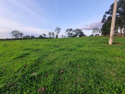 Stio para Venda, em Bom Repouso, bairro 091