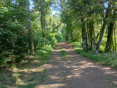 Chcara para Venda, em Sapiranga, bairro Picada Vero