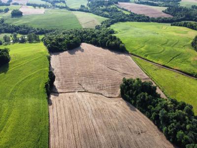 rea Rural para Venda, em Tuparendi, bairro Ramos