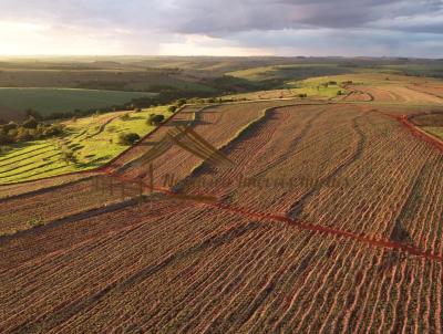 Fazenda para Venda, em Ourinhos, bairro rea Rural de Ourinhos