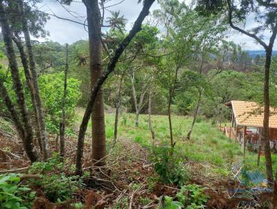 Terreno para Venda, em Campos do Jordo, bairro Jardim Elizabeth