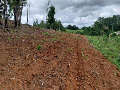 Chcara para Venda, em Quitandinha, bairro JOELHO QUEBRADO, 2 dormitrios, 1 banheiro, 1 sute