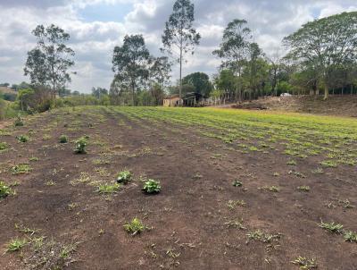 rea para Venda, em Catanduva, bairro Jardim dos Coqueiros