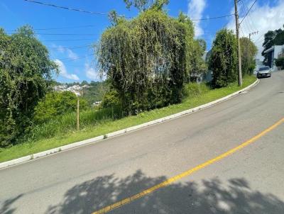 Terreno para Venda, em Juiz de Fora, bairro Novo Horizonte