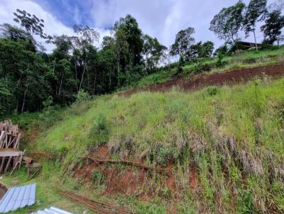 Terreno para Venda, em Juiz de Fora, bairro Parque Guadalajara