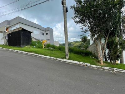 Terreno para Venda, em Juiz de Fora, bairro Novo Horizonte