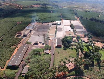 Fazenda para Venda, em Piumhi, bairro Rural