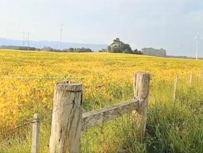 Fazenda para Venda, em Osrio, bairro RS