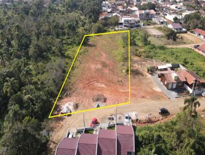 Terreno para Venda, em Barra Velha, bairro Jardim Icara