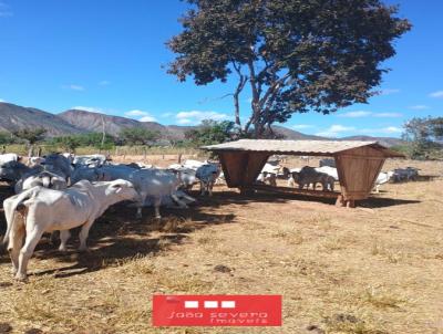 Fazenda para Venda, em Niquelndia, bairro 