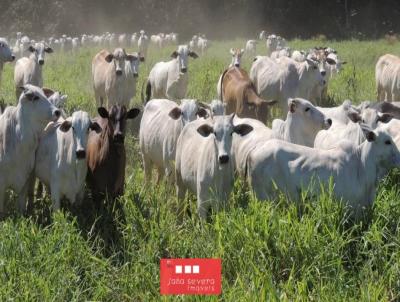 Fazenda para Venda, em Aquidauana, bairro 