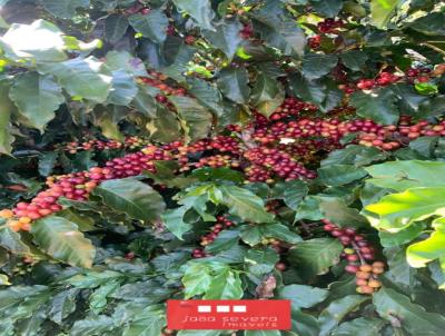 Fazenda para Venda, em Una, bairro 