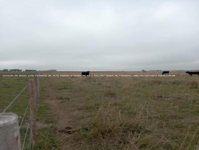 Fazenda para Venda, em So Gabriel, bairro RS