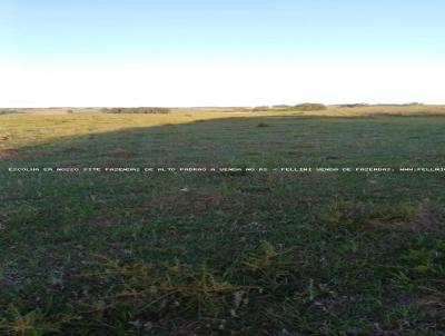 Fazenda para Venda, em So Gabriel, bairro RS