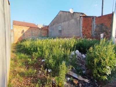 Terreno para Venda, em Santo Antnio da Platina, bairro Aparecidinho 3